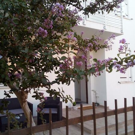 The Judas Trees Mestre Exterior foto
