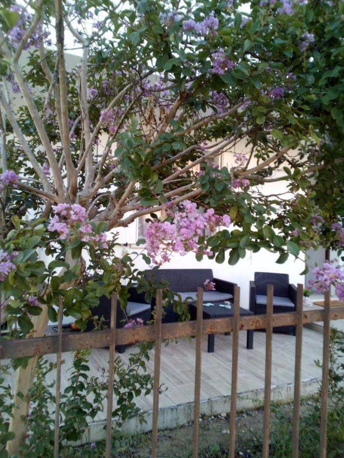The Judas Trees Mestre Exterior foto