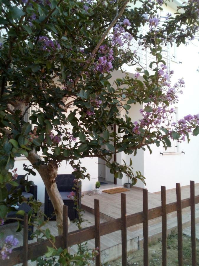 The Judas Trees Mestre Exterior foto