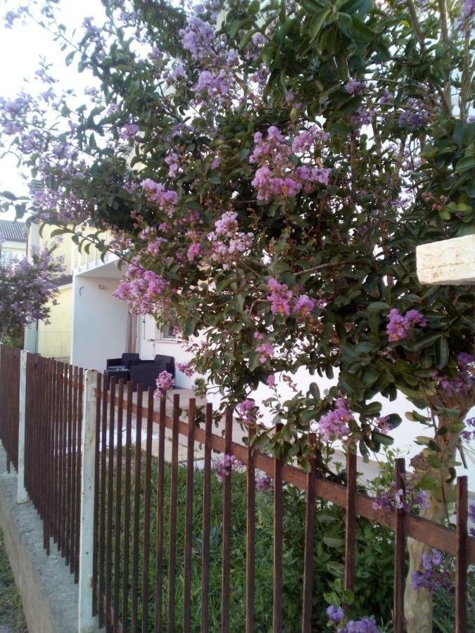 The Judas Trees Mestre Exterior foto